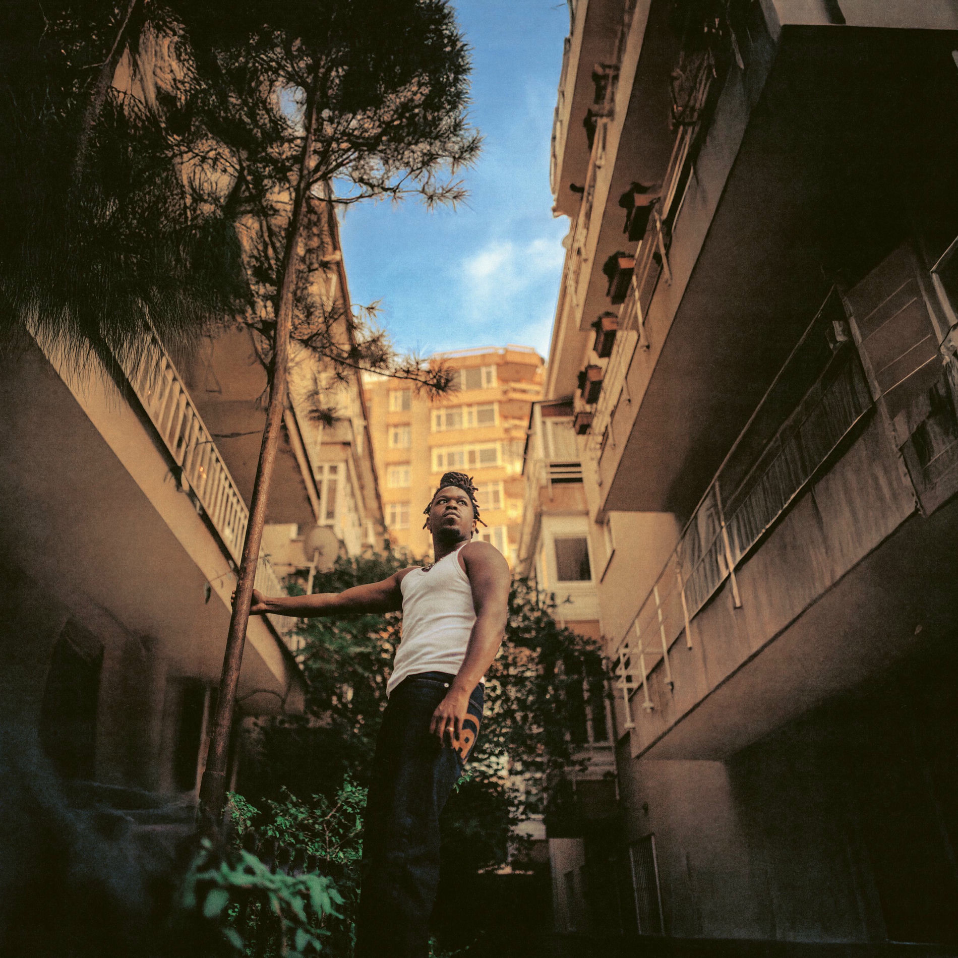 Album cover of Melanie