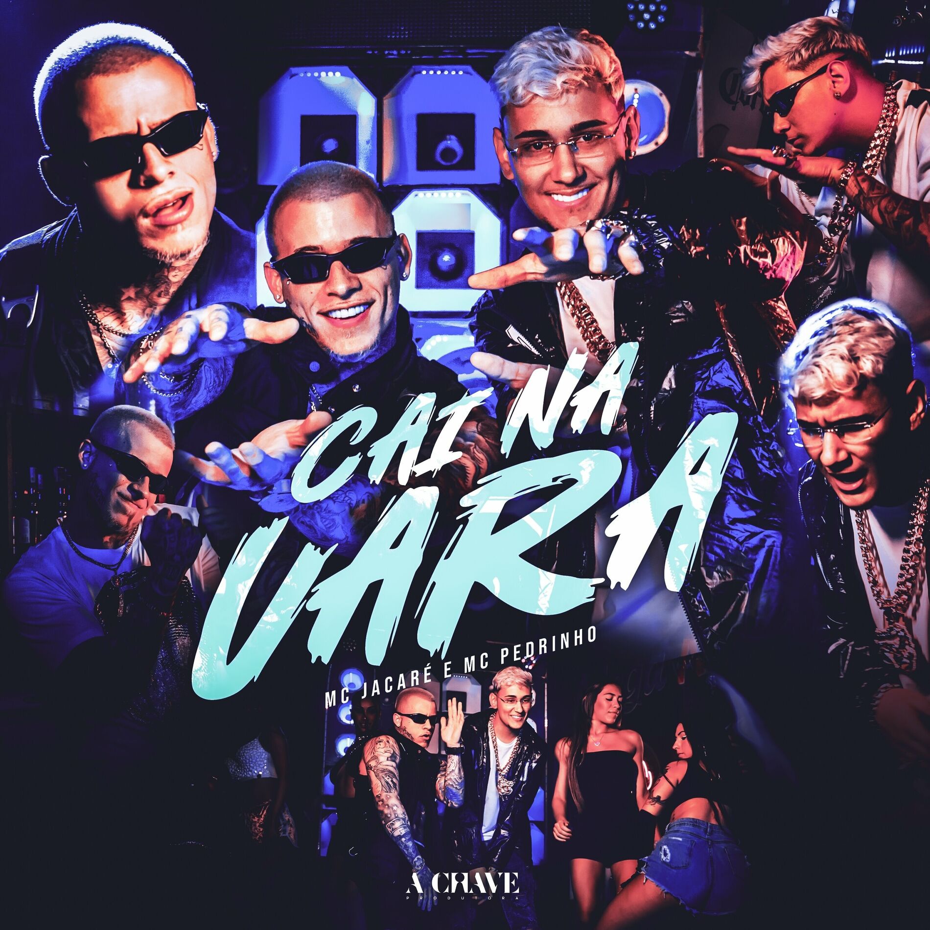 Album cover of Cai na Vara