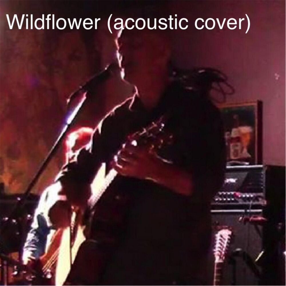 Picture of Wildflower (Acoustic) [feat. Jakt]