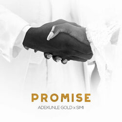 Cover of Promise