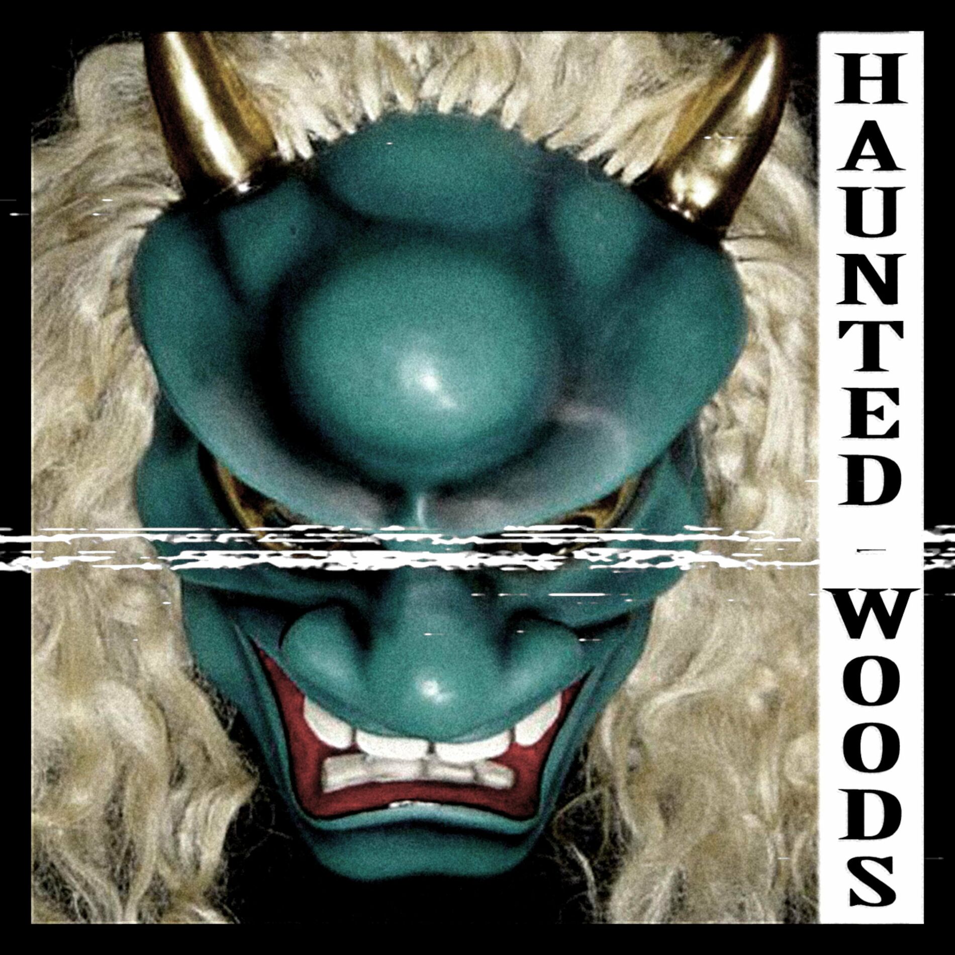 Album cover of Haunted Woods