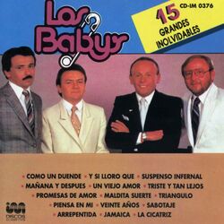 Cover of 15 Grandes Inolvidables