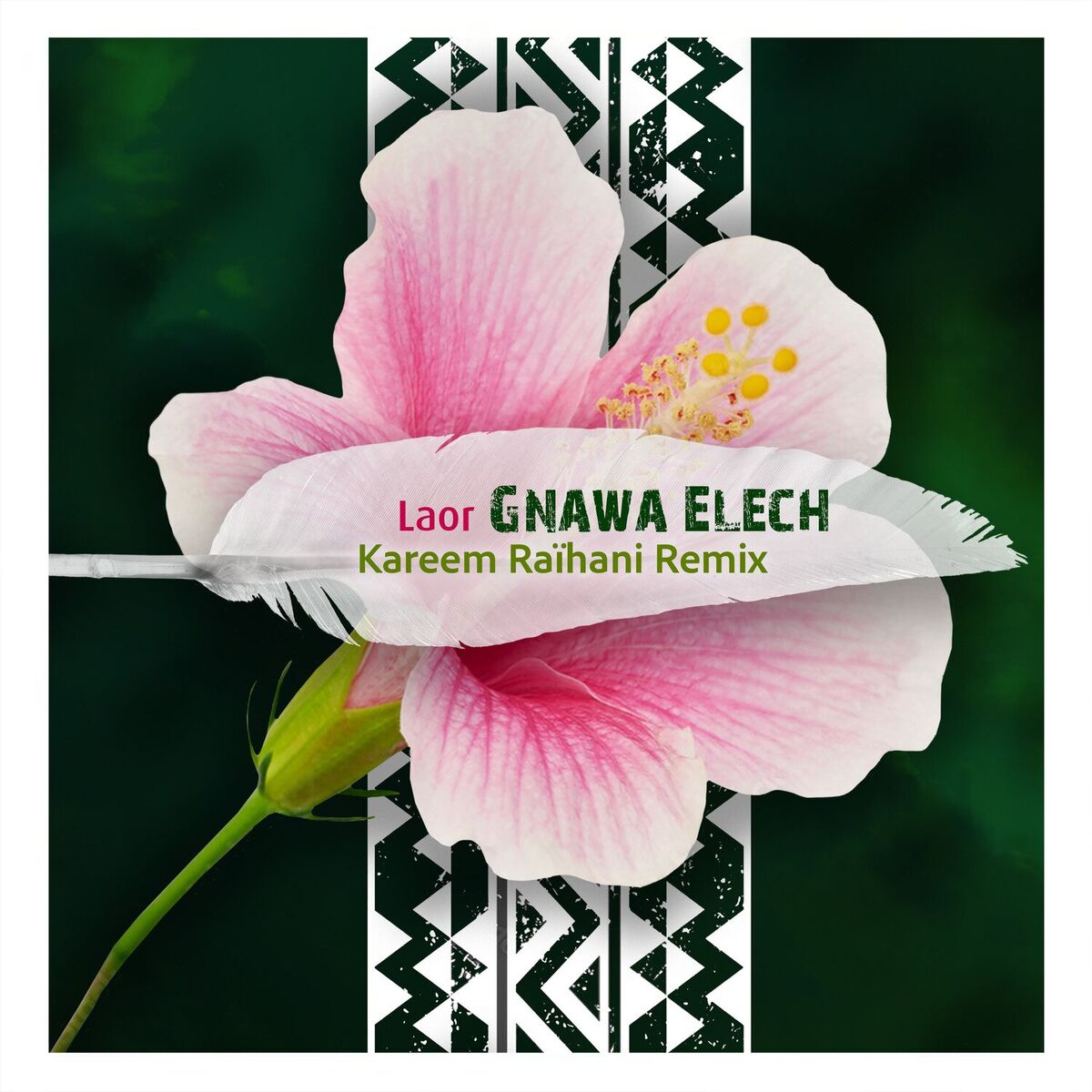 Album cover of Gnawa Elech (Kareem Raïhani Remix)
