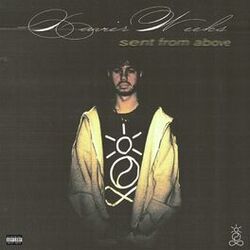 Cover of SENT FROM ABOVE