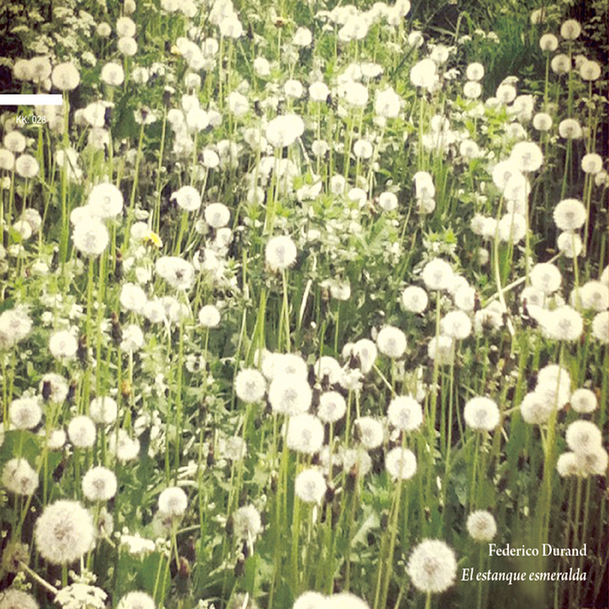 Album cover of El Estanque Esmeralda