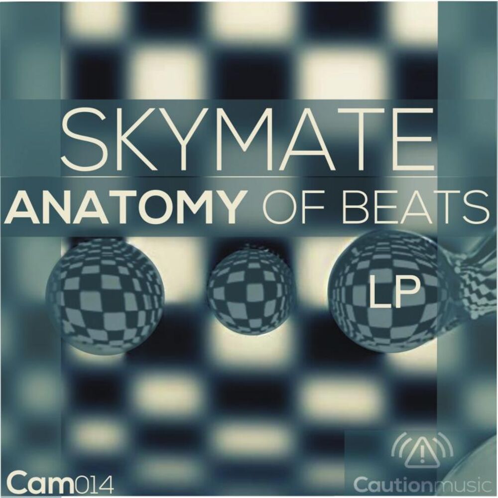 Picture of Anatomy Of Beats Album