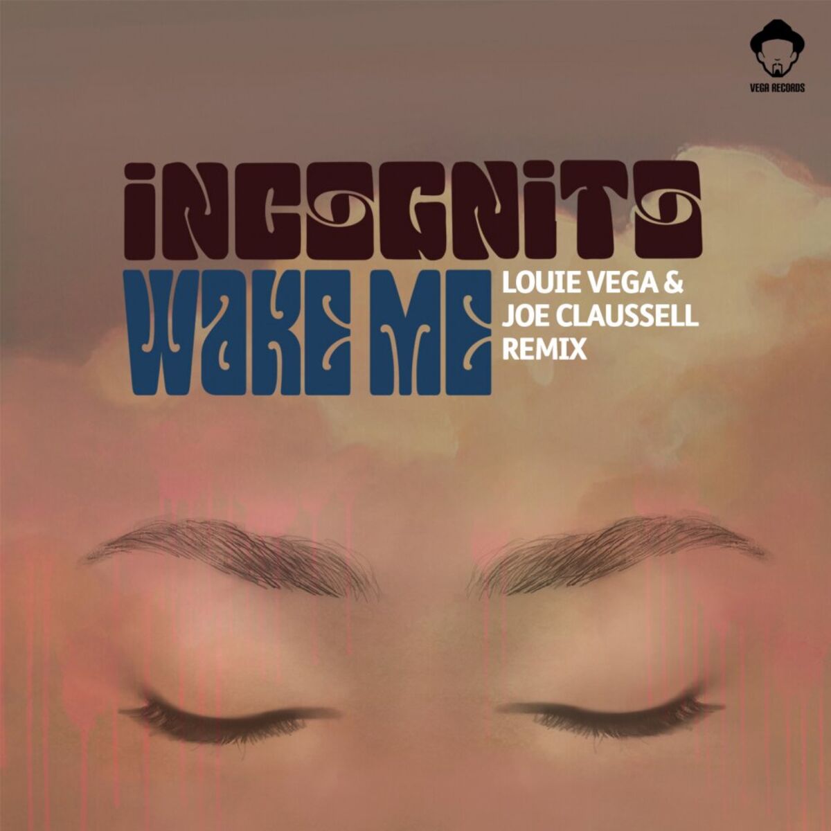 Album cover of Wake Me