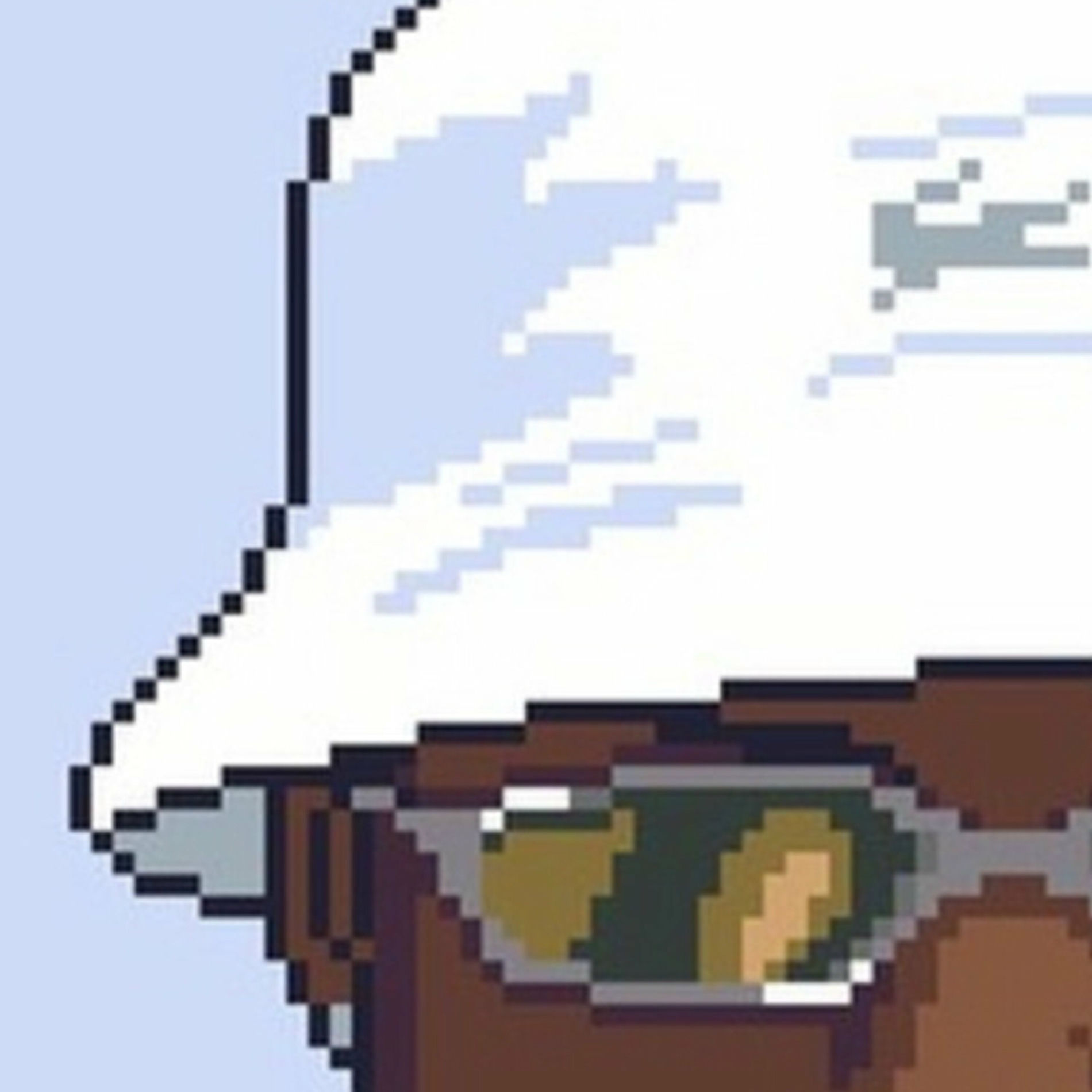 Album cover of Noite No Spa (Speed Plug)