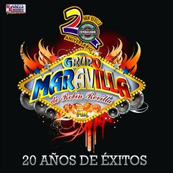 Cover of 20 Años de Exitos