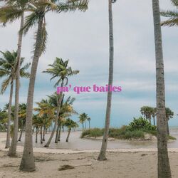 Cover of pa' que bailes