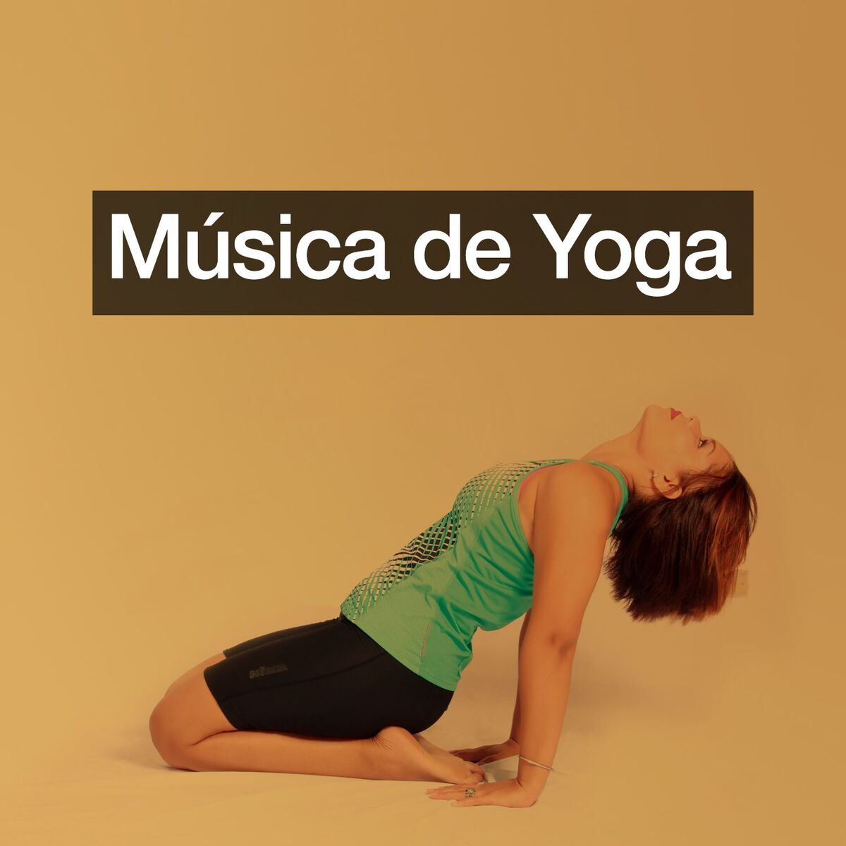 Album cover of Música de Yoga