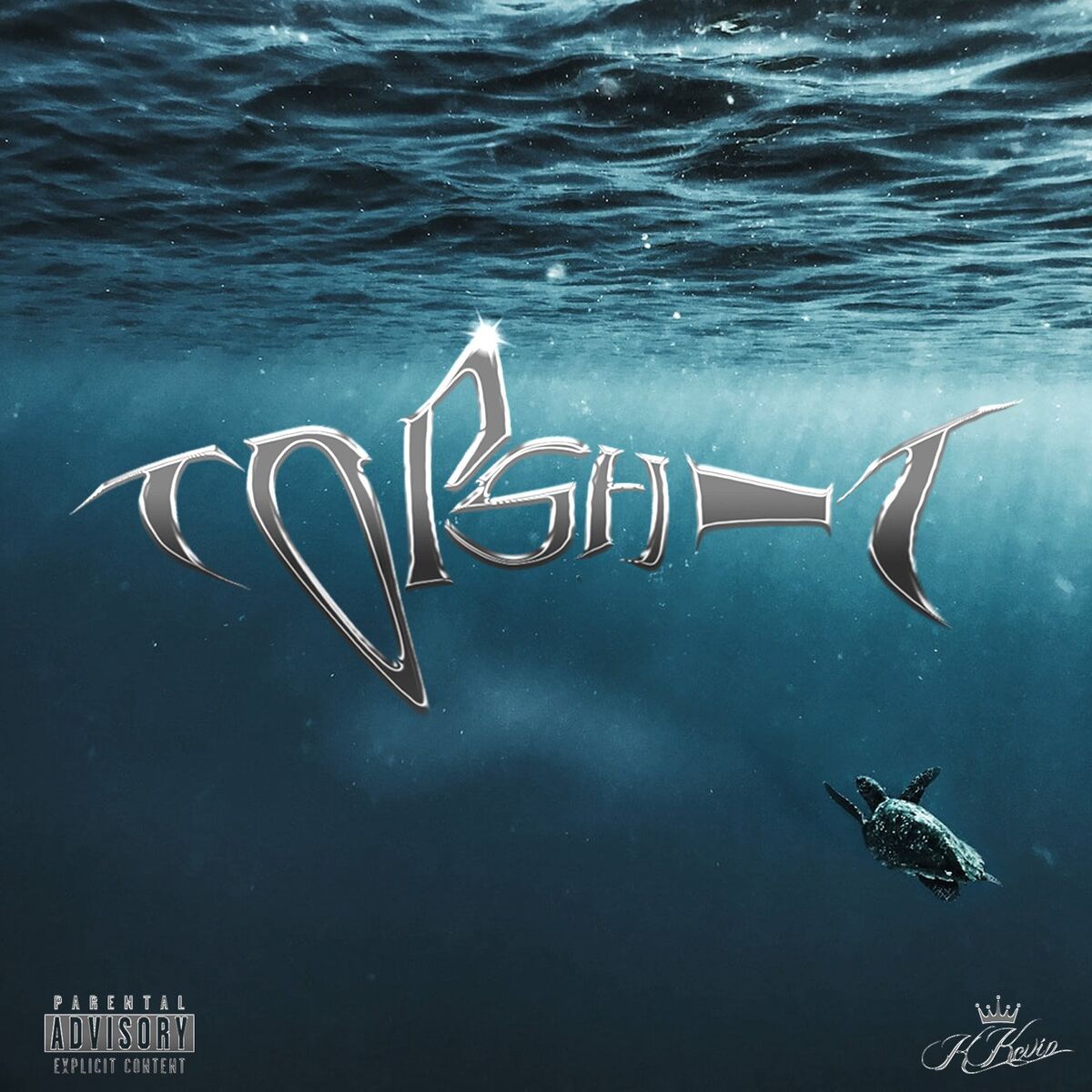 Album cover of Topshit
