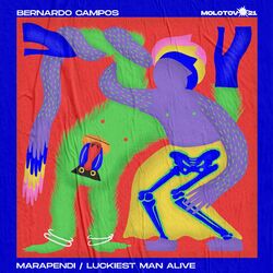Cover of Marapendi