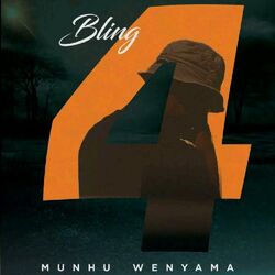Cover of Munhu wenyama