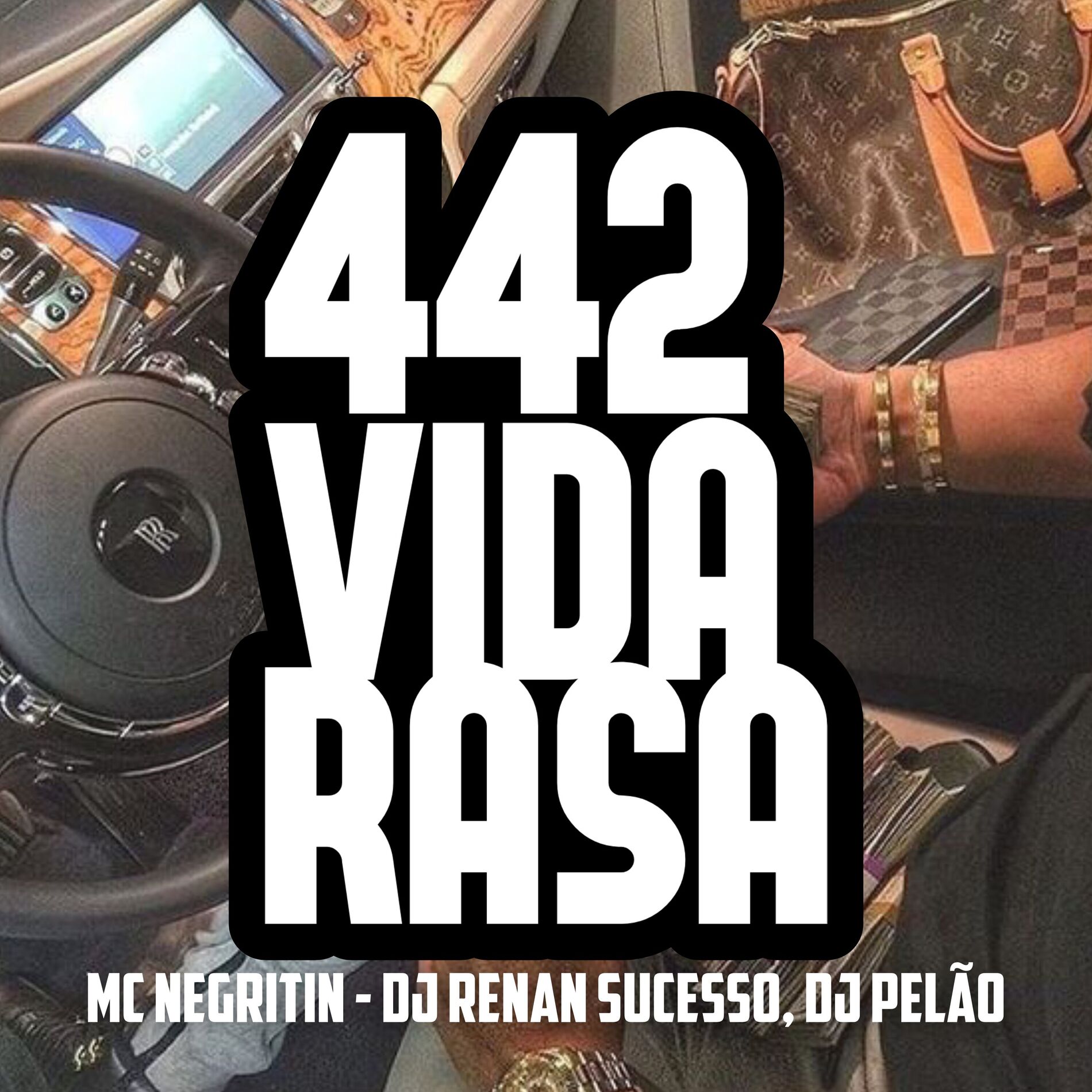Album cover of 442 Vida Rasa
