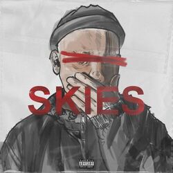 Cover of Skies