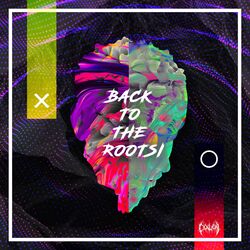 Cover of Back to the Roots