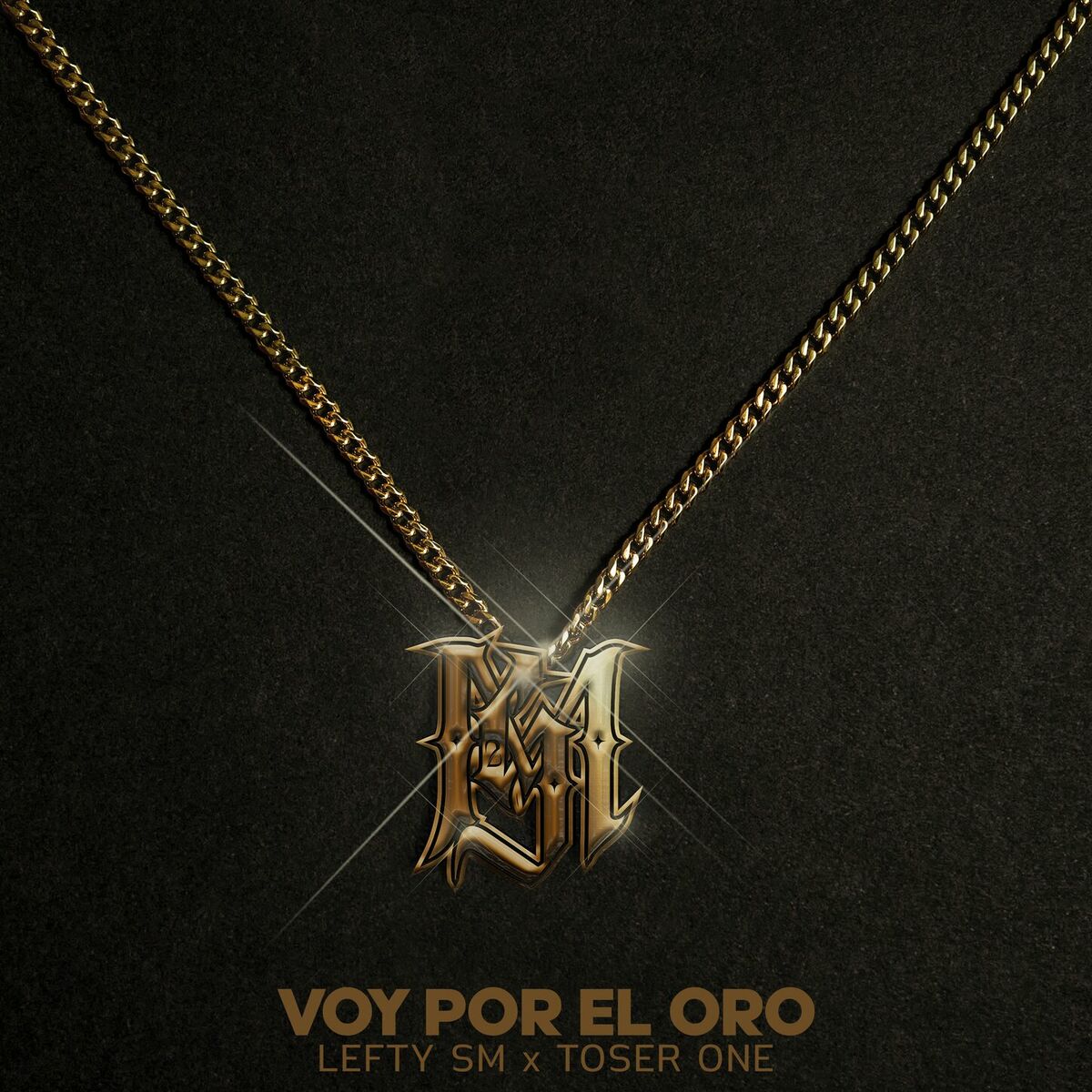 Album cover of Voy Por El Oro