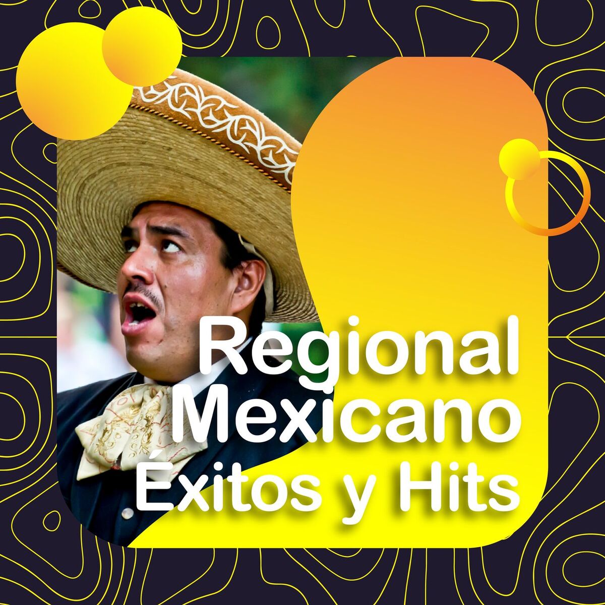 Album cover of Regional Mexicano: Éxitos y Hits