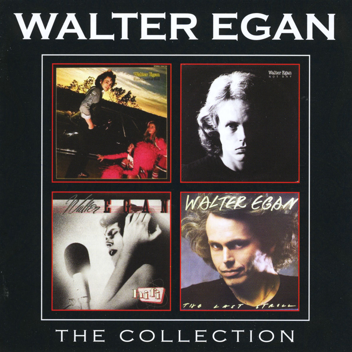 Album cover of Magnet and Steel