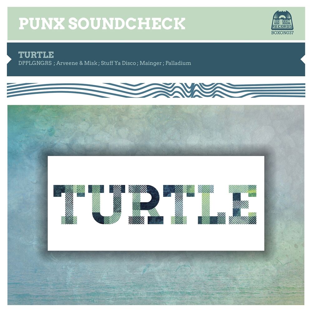 Picture of Turtle (Remixes)