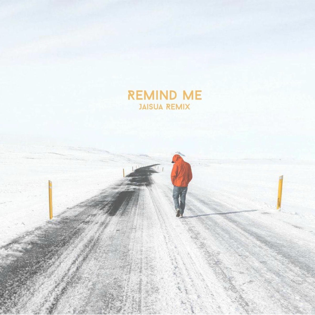 Album cover of Remind Me (Jaisua Remix)
