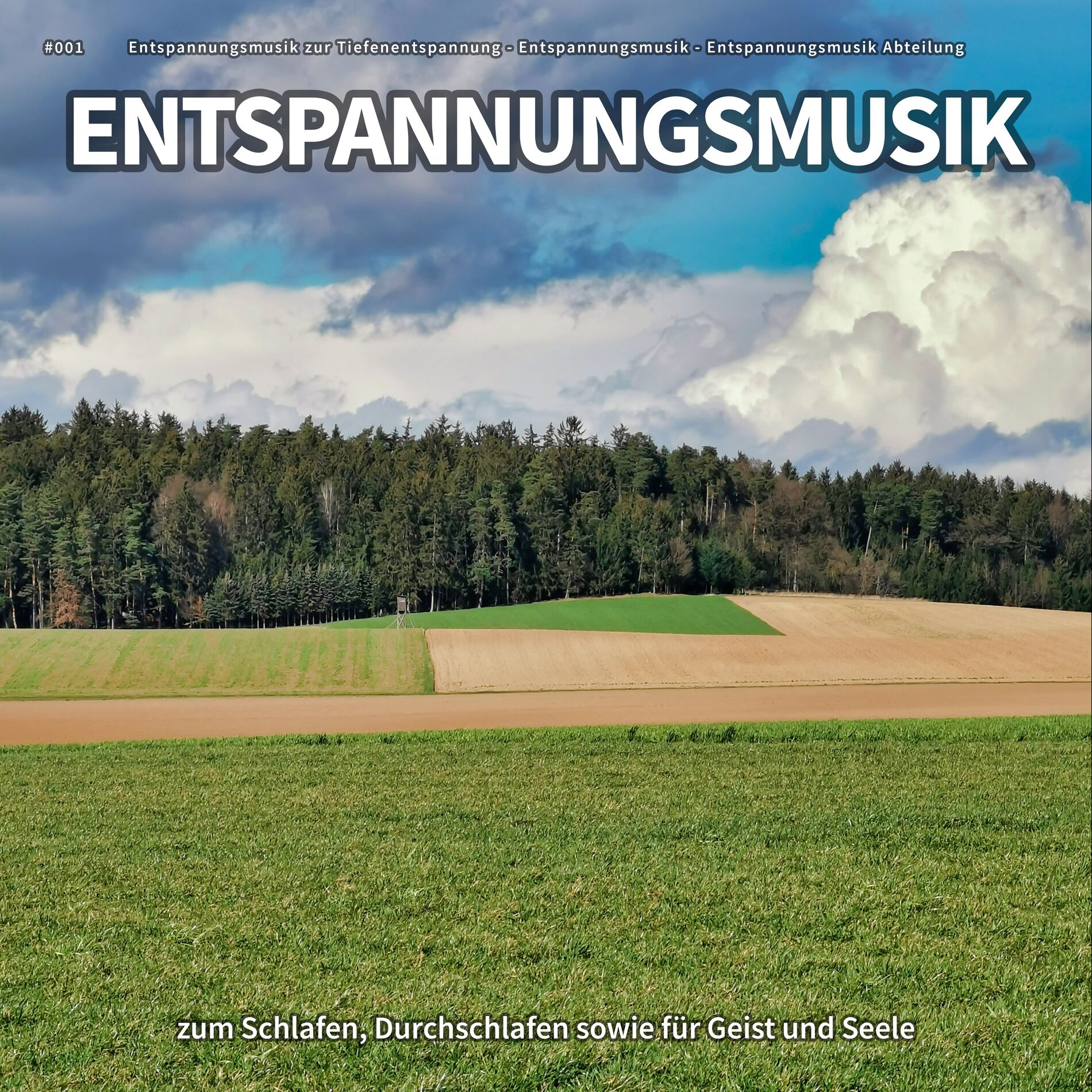 Album cover of #001 Entspannungsmusik zum Schlafen, Durchschlafen sowie für Geist und Seele