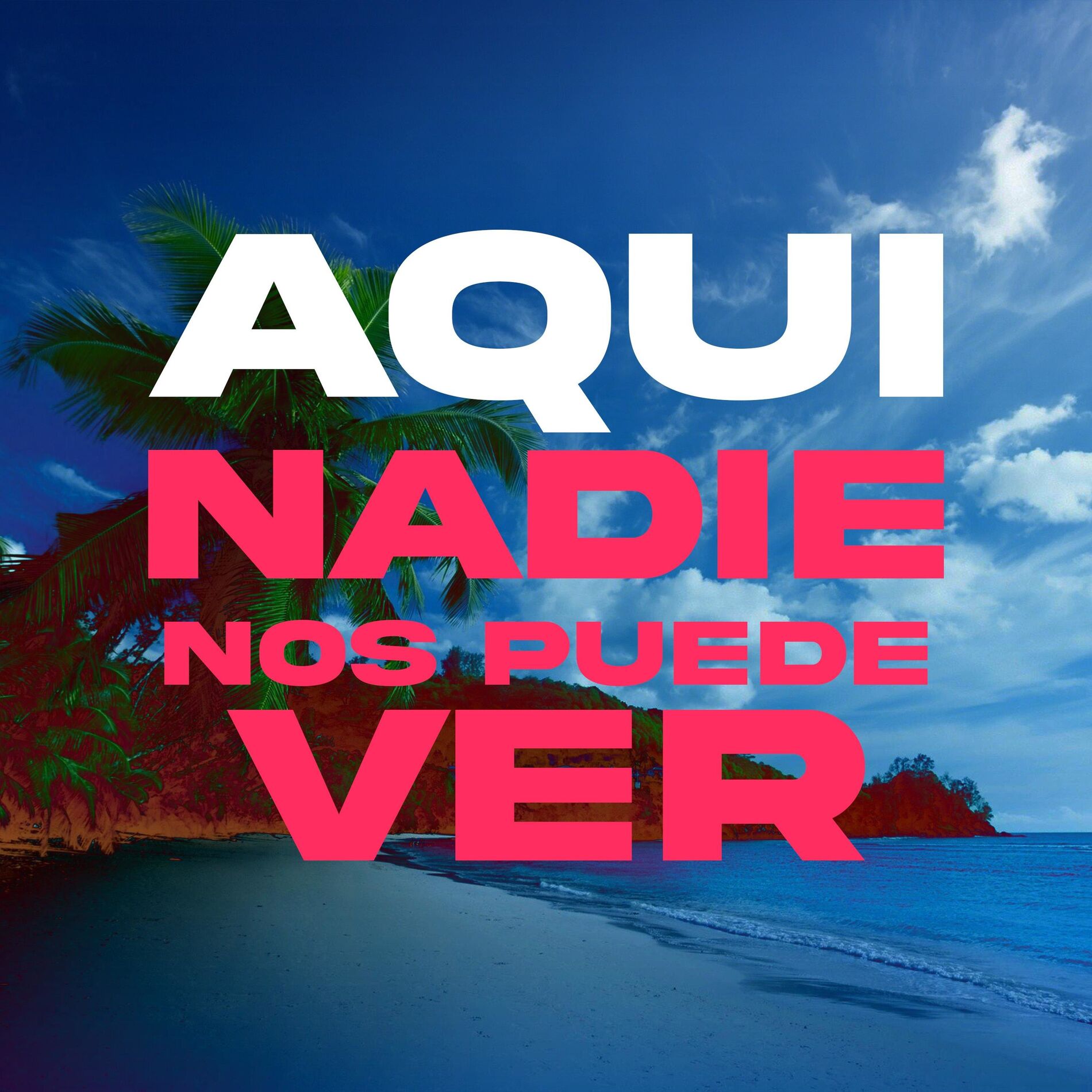 Album cover of Aqui Nadie Nos Puede Ver