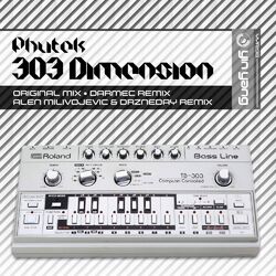 Cover of 303 Dimension