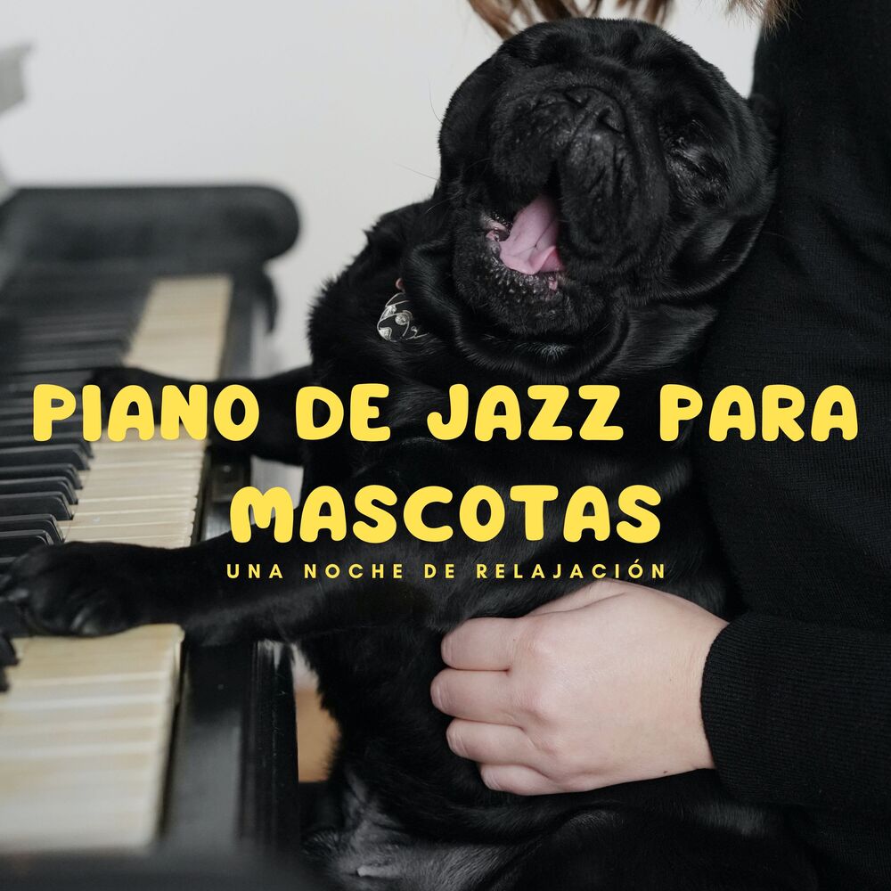 Picture of Piano De Jazz Para Mascotas: Una Noche De Relajación