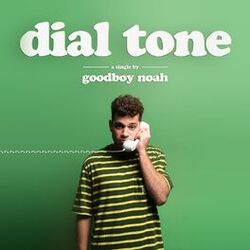 Cover of dial tone