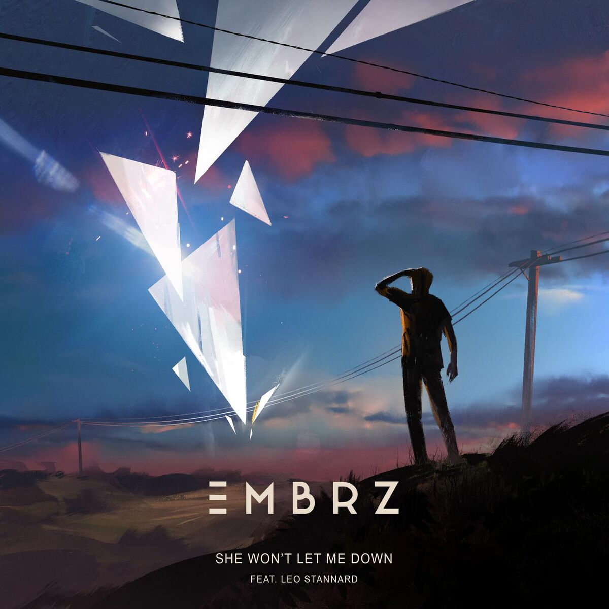 Album cover of She Won't Let Me Down (feat. Leo Stannard)
