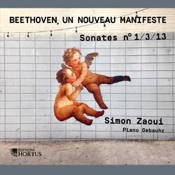 Cover of Beethoven, un nouveau manifeste