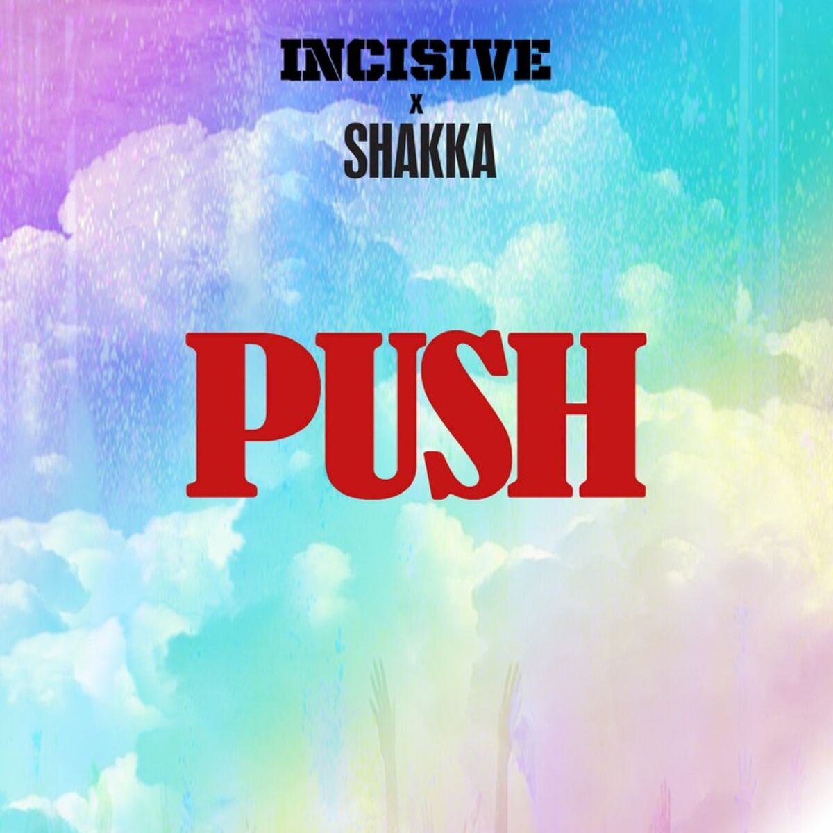 Album cover of Push