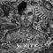 Push 'Em (feat. Skinhead Rob & Tim Armstrong) by Travis Barker album cover