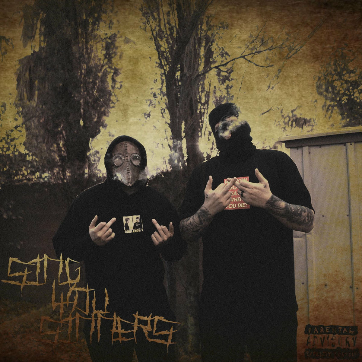 Album cover of Sing, You Sinners