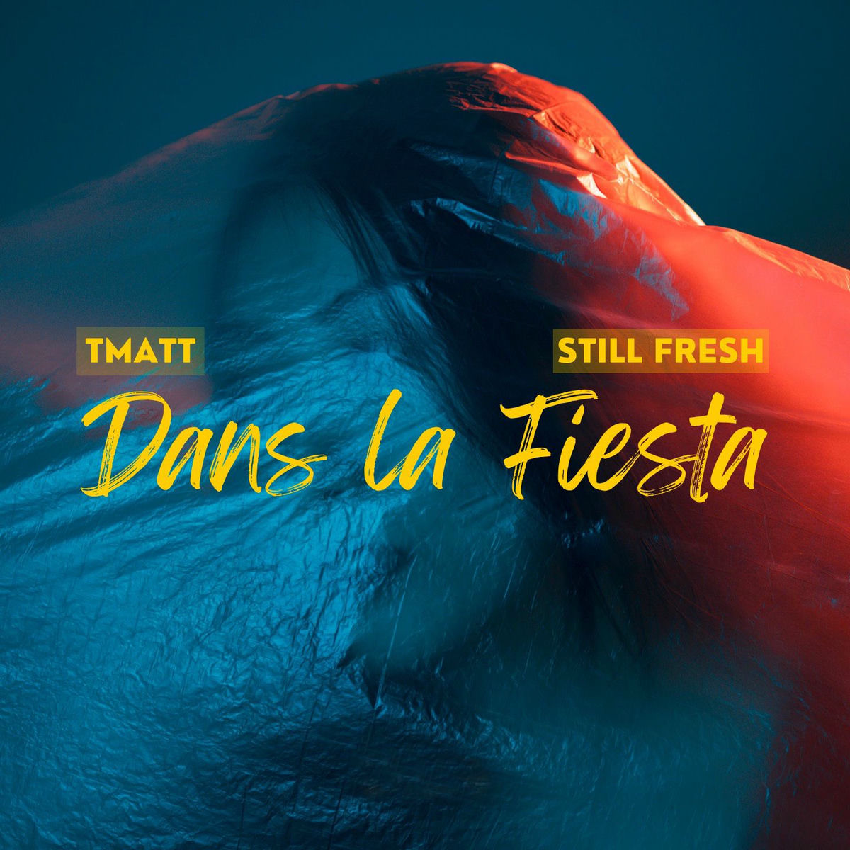 Album cover of Dans la fiesta
