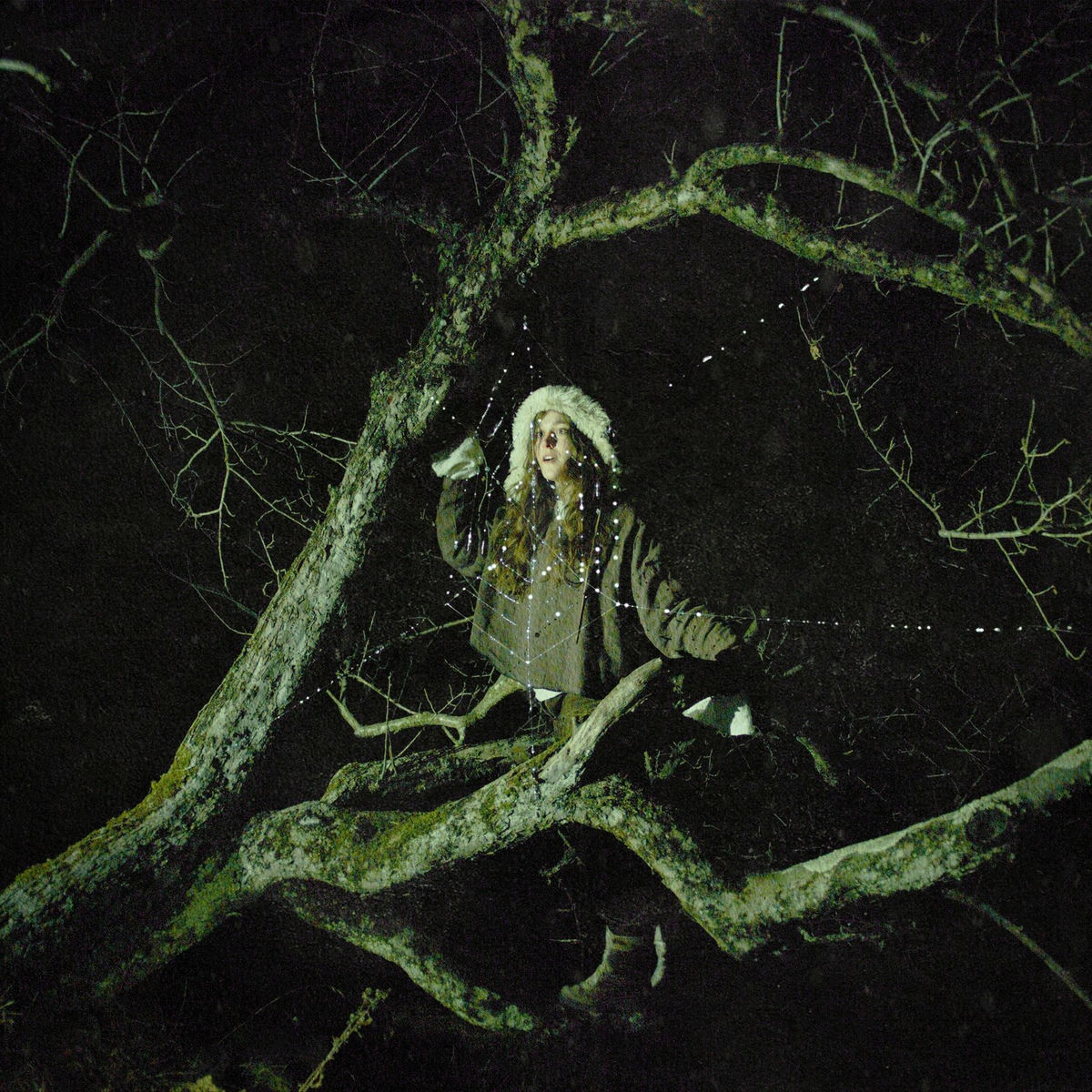 Album cover of Devote