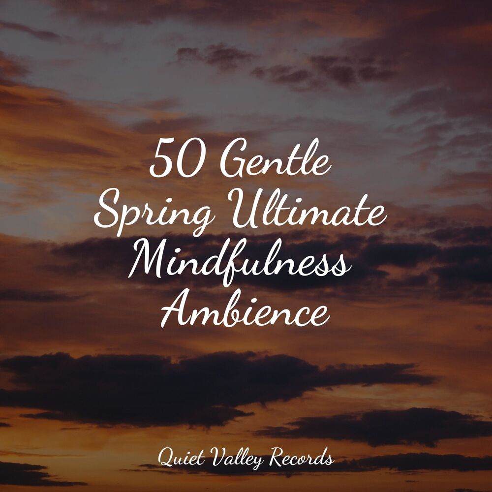 Picture of 50 Gentle Spring Ultimate Mindfulness Ambience