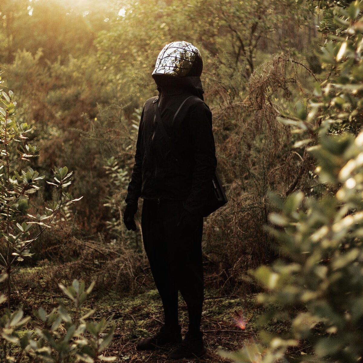 Album cover of Scintillations