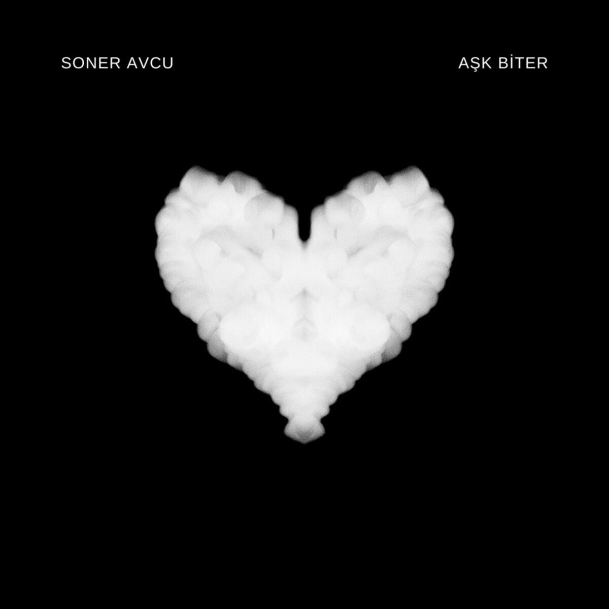 Album cover of Aşk Biter