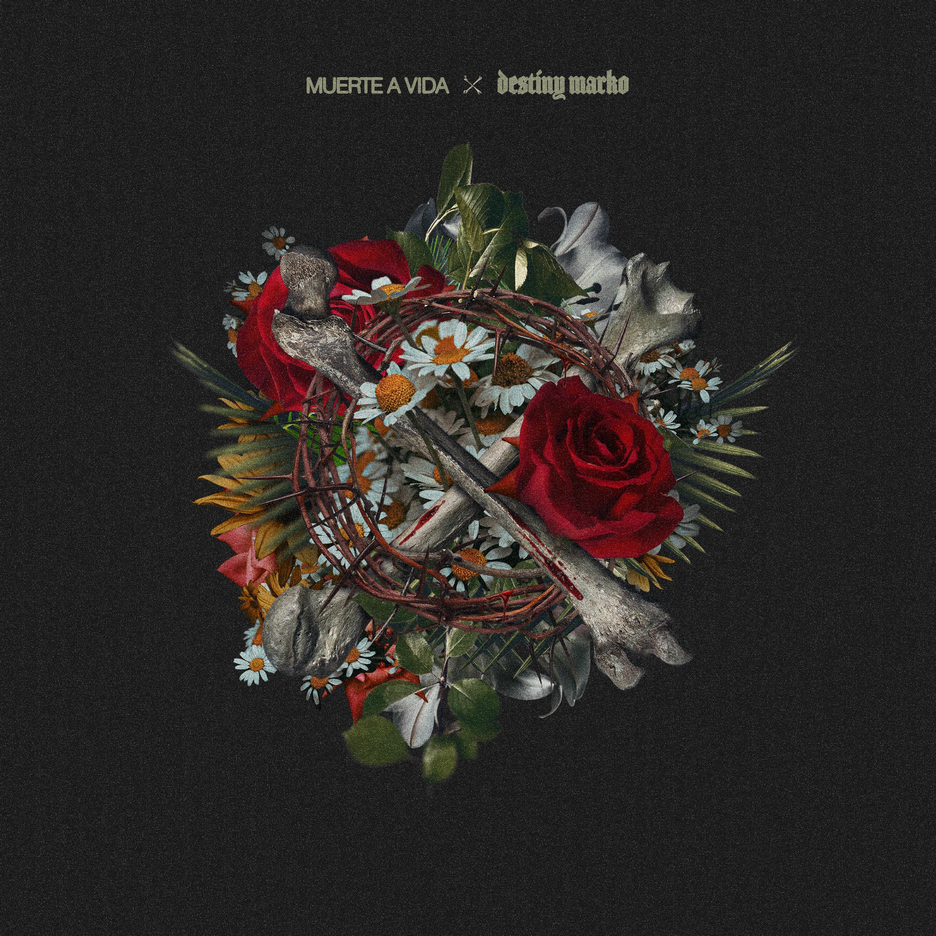 Album cover of Muerte a Vida