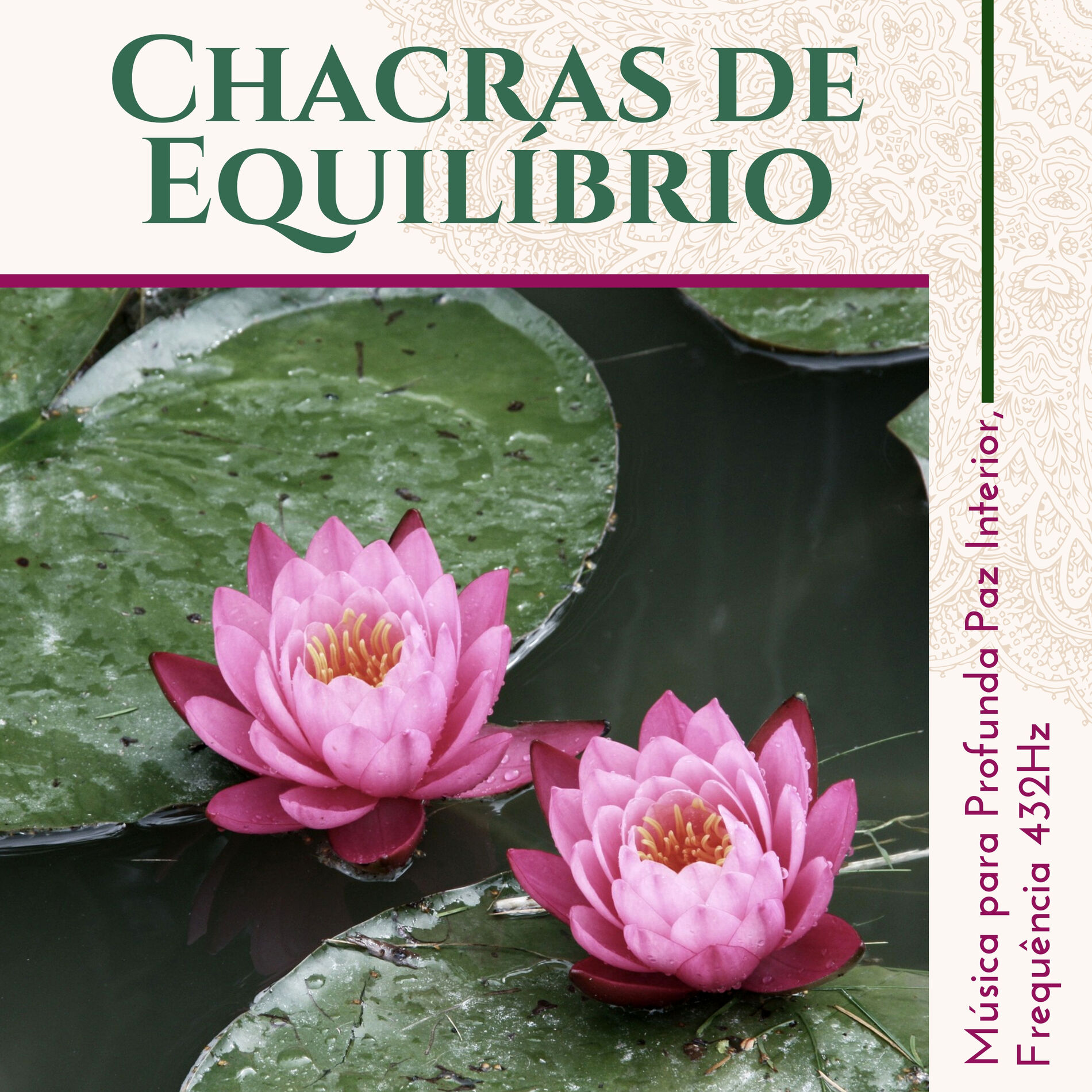 Album cover of Chacras de Equilíbrio - Música para Profunda Paz Interior, Frequência 432Hz