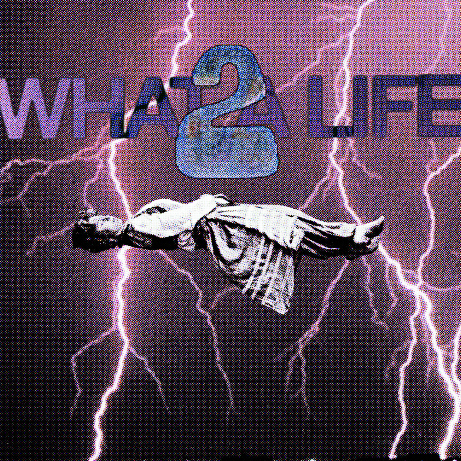 Album cover of What A Life 2