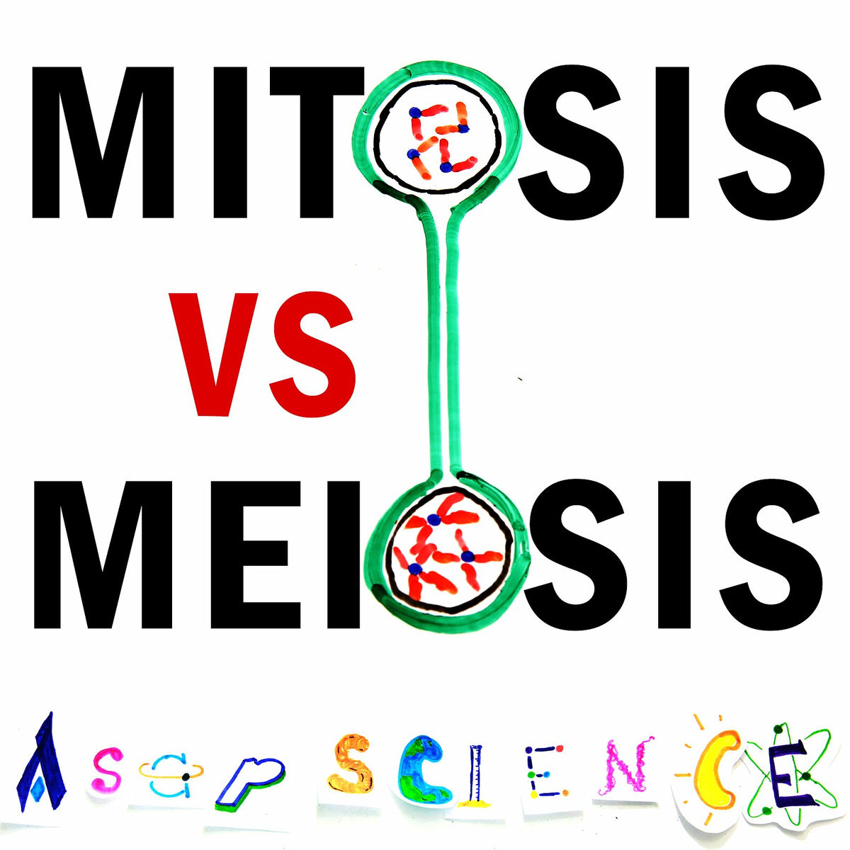 Album cover of Mitosis vs Meiosis Rap Battle