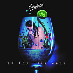 Cover of In the Blue Zone