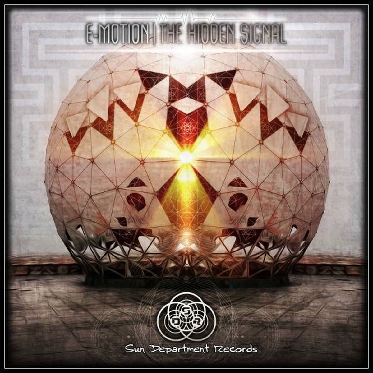 Album cover of The Hidden Signal