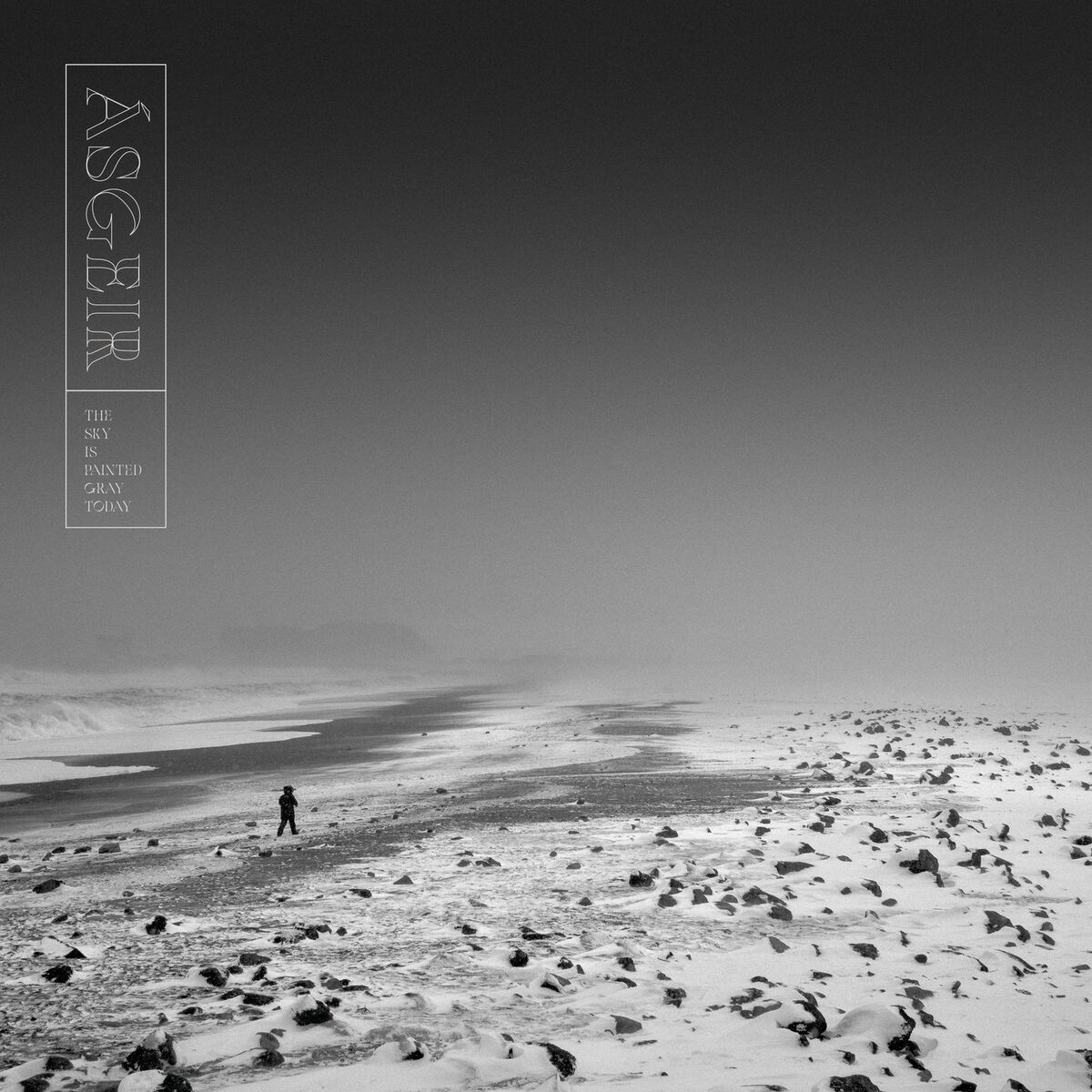 Album cover of The Sky is Painted Gray Today
