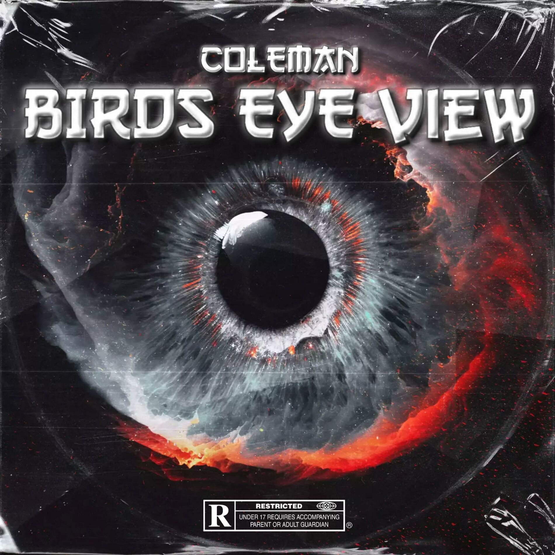Album cover of BIRDS EYE VIEW
