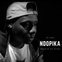 Cover of Ndopika